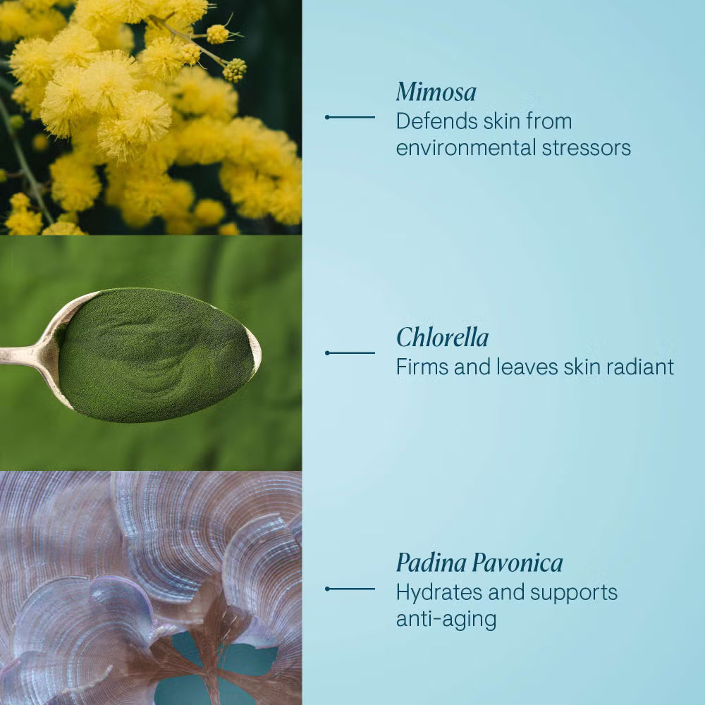 ELEMIS Pro-Collagen Marine Cream Anti-Wrinkle Hydrating Day Cream 50ml / 1.6 fl.oz.